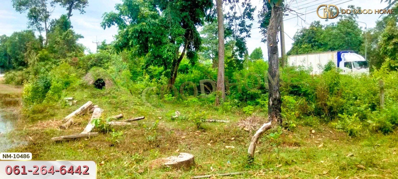 ที่ดินขนาด 10 ไร่ 27 ตร.ว. ใกล้อ่างเก็บน้ำห้วยคำท้า นครพนม-6