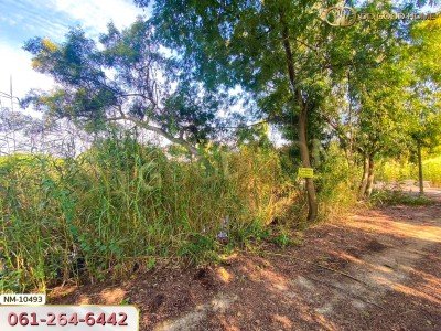 ที่ดิน อ.เมืองปทุมธานี 100 ตร.ว. ซ.ร่วมสุข 4/6 ปทุมธานี