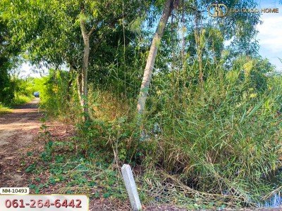 ที่ดิน อ.เมืองปทุมธานี 100 ตร.ว. ซ.ร่วมสุข 4/6 ปทุมธานี