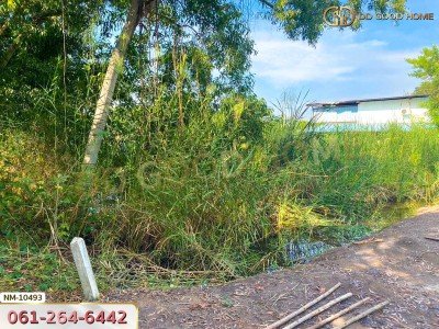 ที่ดิน อ.เมืองปทุมธานี 100 ตร.ว. ซ.ร่วมสุข 4/6 ปทุมธานี