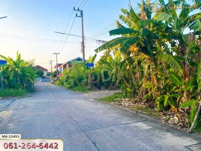 ที่ดิน อ.เมืองปทุมธานี 100 ตร.ว. ซ.ร่วมสุข 4/6 ปทุมธานี