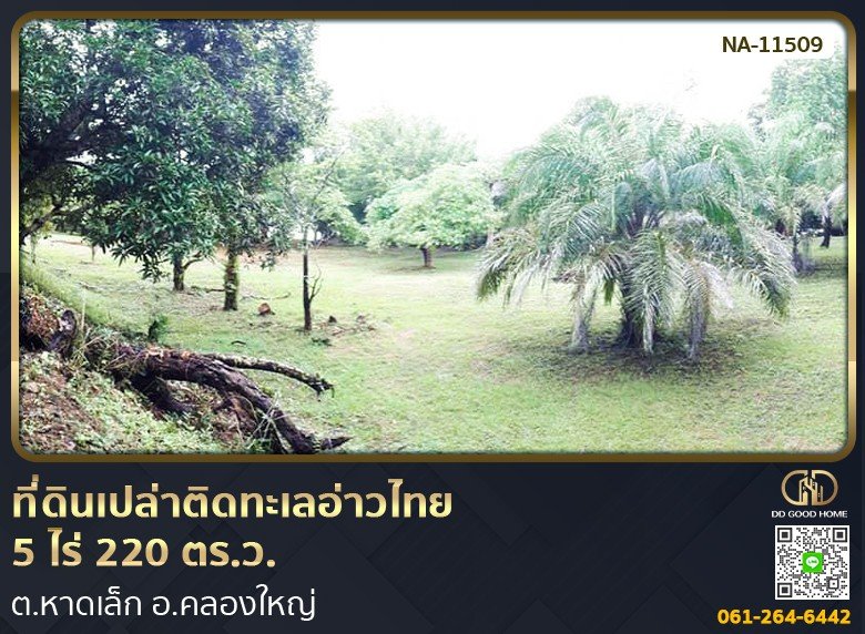 ที่ดินเปล่าติดทะเลอ่าวไทย 5 ไร่ 220 ตร.ว. ต.หาดเล็ก อ.คลองใหญ่-1