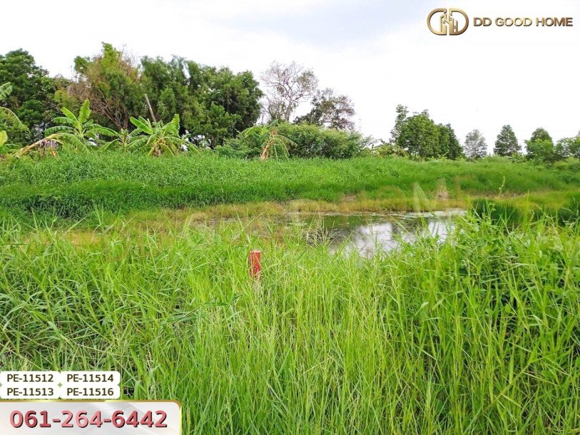 ที่ดินเปล่า 100 ตร.ว. ในซอยสุวินทวงศ์ 28 ต.แสนแสบ อ.มีนบุรี-2