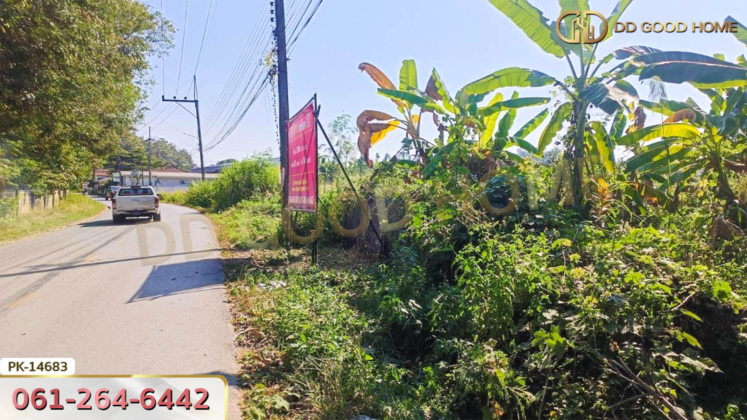ที่ดินขนาด 200 ตร.ว. ซ.ดอยพระบาท เชียงราย-4