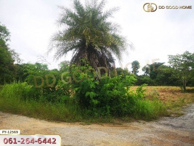 ที่ดิน 1 ไร่ 35 ตร.ว.ใกล้ ถ.ราชสีมา-โชคชัย นครราชสีมา