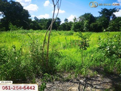 ที่ดิน 310.3 ตร.ว.ใกล้ ถ.ราชสีมา-โชคชัย นครราชสีมา