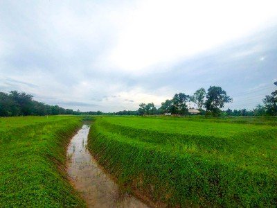 ที่ดินเปล่า 2 ไร่ 190 ตร.ว. ต.คลองขวาง อ.ไทรน้อย