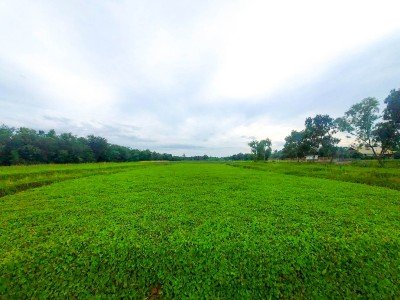 ที่ดินเปล่า 2 ไร่ 190 ตร.ว. ต.คลองขวาง อ.ไทรน้อย