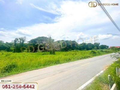 ที่ดินเปล่า 82 ตร.ว. ต.มหาสวัสดิ์ อ.พุทธมณฑล ที่พร้อมสร้างบ้าน