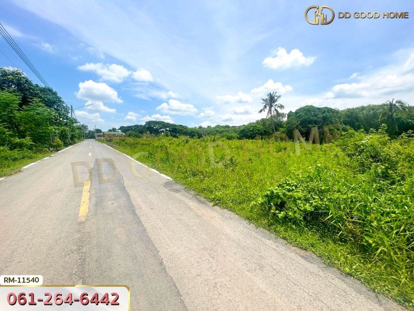 ที่ดินเปล่า 82 ตร.ว. ต.มหาสวัสดิ์ อ.พุทธมณฑล ที่พร้อมสร้างบ้าน-6