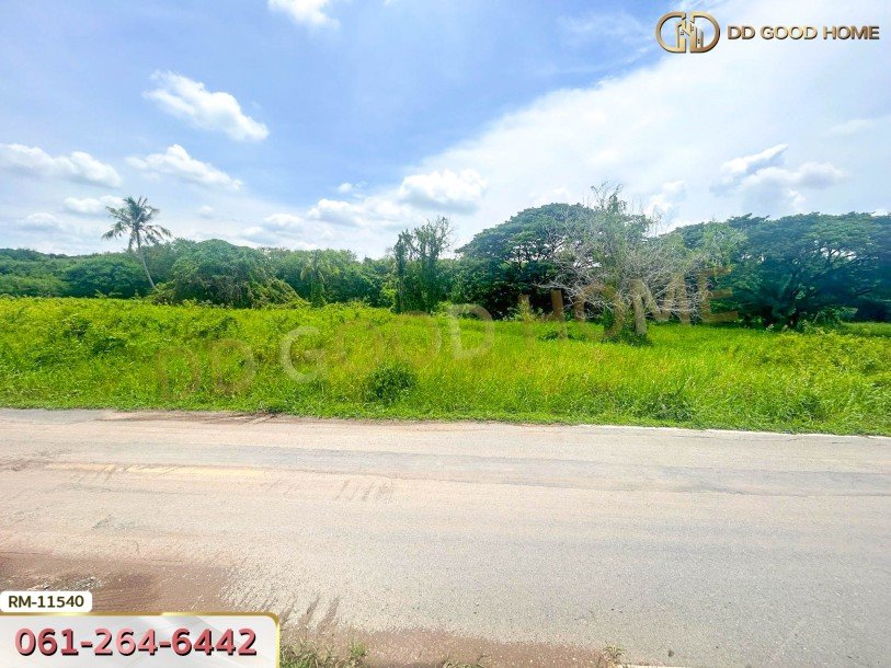 ที่ดินเปล่า 82 ตร.ว. ต.มหาสวัสดิ์ อ.พุทธมณฑล ที่พร้อมสร้างบ้าน-4
