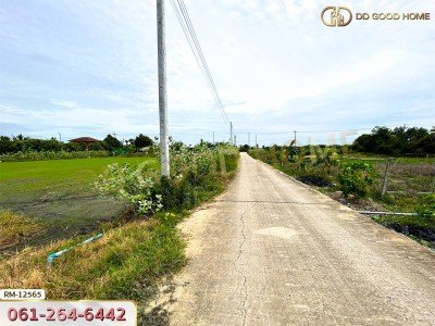 ที่ดินเปล่า 198.9 ตร.ว. ต.หนองเพรางาย อ.ไทรน้อย