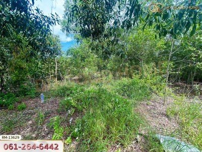 ที่ดิน 401 ตร.ว. โครงการสนามกอล์ฟบางปะกงริเวอรีไซด์ ฉะเชิงเทรา