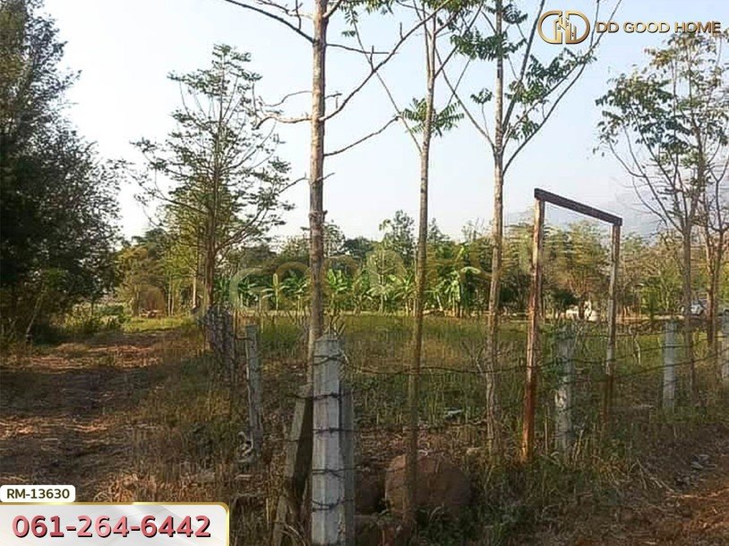 ที่ดิน 1 ไร่ 376 ตร.ว. โครงการภูหินวิวรีสอร์ท เพชรบูรณ์-7