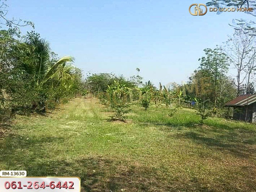 ที่ดิน 1 ไร่ 376 ตร.ว. โครงการภูหินวิวรีสอร์ท เพชรบูรณ์-6