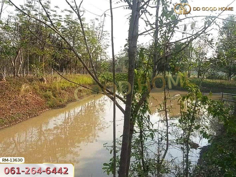 ที่ดิน 1 ไร่ 376 ตร.ว. โครงการภูหินวิวรีสอร์ท เพชรบูรณ์-5