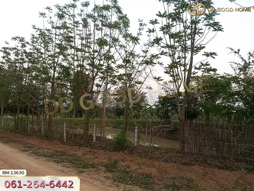 ที่ดิน 1 ไร่ 376 ตร.ว. โครงการภูหินวิวรีสอร์ท เพชรบูรณ์-2