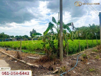 ที่ดินขนาด 89 ตร.ว. ซ.หมู่บ้านศรีสุภาลัย 1 นนทบุรี